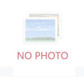 现在新房装修铺木地板还是铺瓷砖呢？